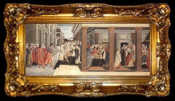 framed  Sandro Botticelli Baptism,renunciation of marriage,appointment as bishop (mk36), ta009-2